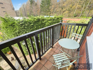 Photo 2- click for photo gallery